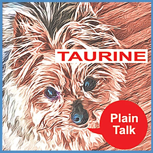 Taurine and The Danger of Grain Free Foods