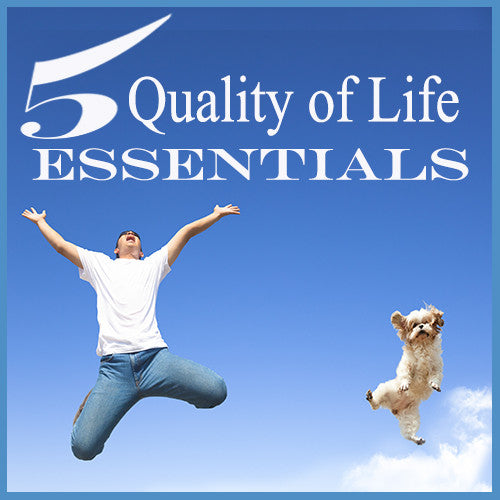 5 Quality of Life Essentials For You & Your Dog