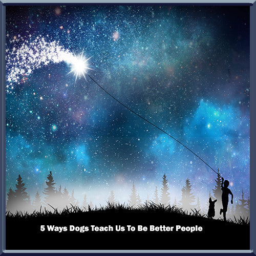 5 Ways Dogs Show Us How To Be Better People