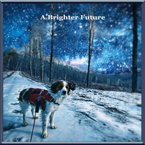 A Brighter Future