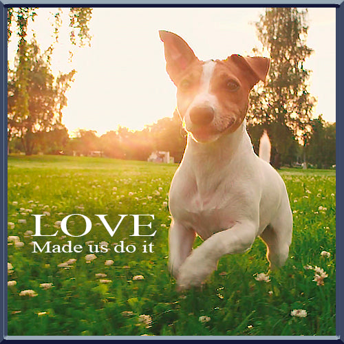 Rewarding Love With Good Health