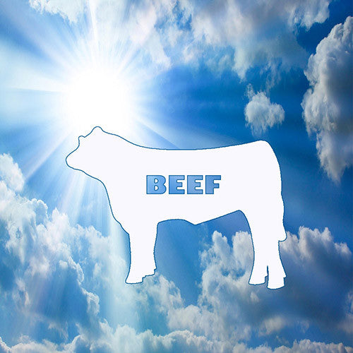 Beefs about Beef ∙ What's used in your dog food?