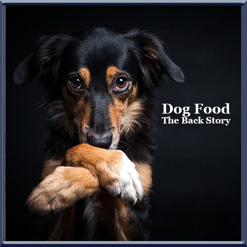 Dog Food: The Back Story of Ingredients