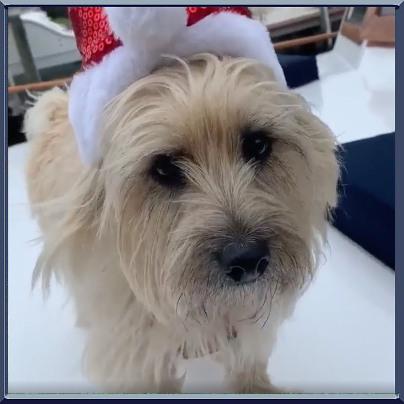 Diet is everything 👍