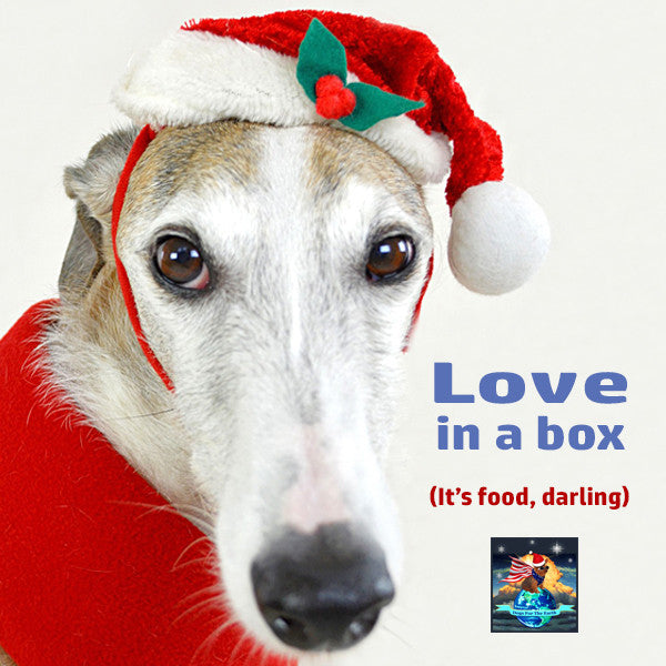 Organic Dog Treats Dogs For The Earth