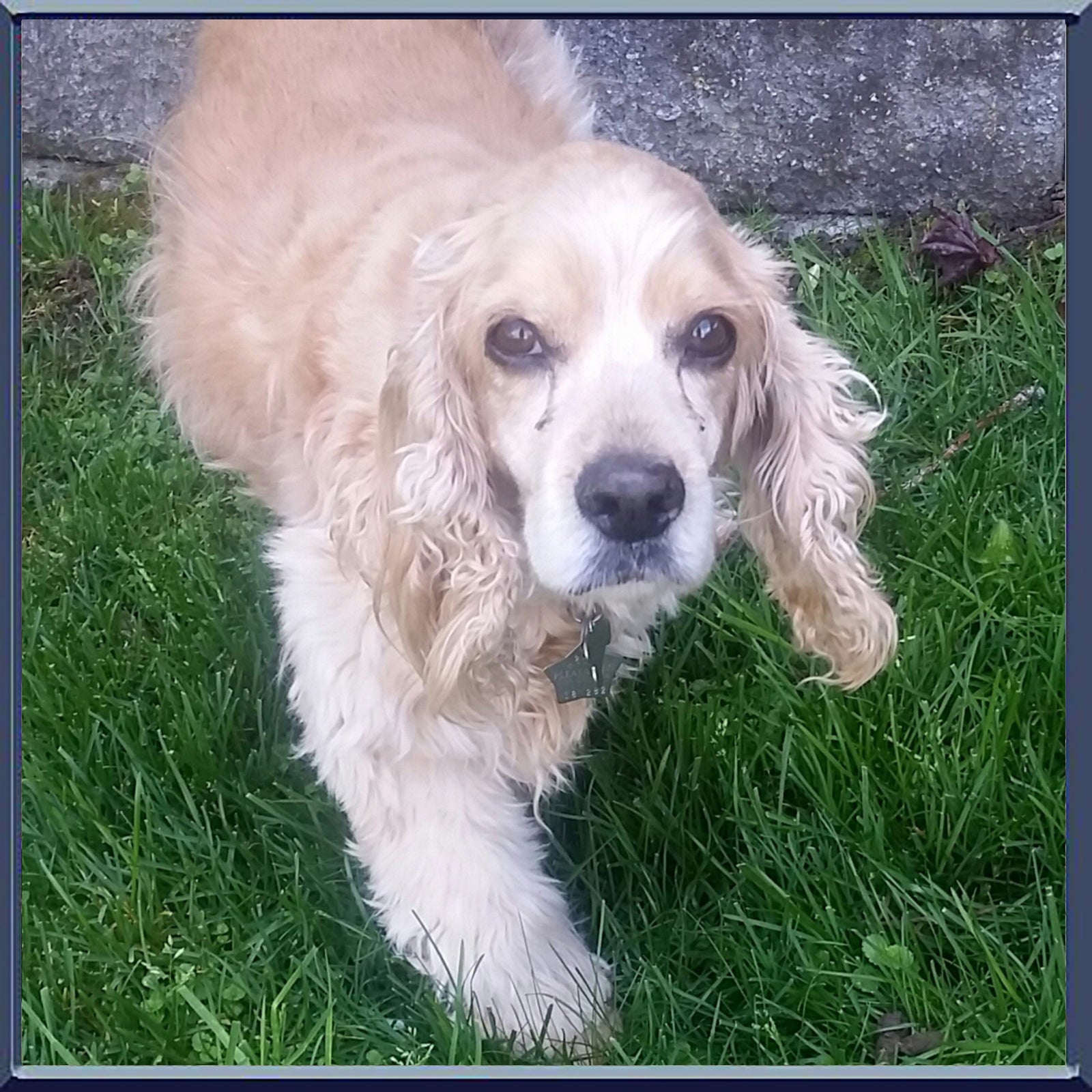 Timber Is Off Allergy Medication