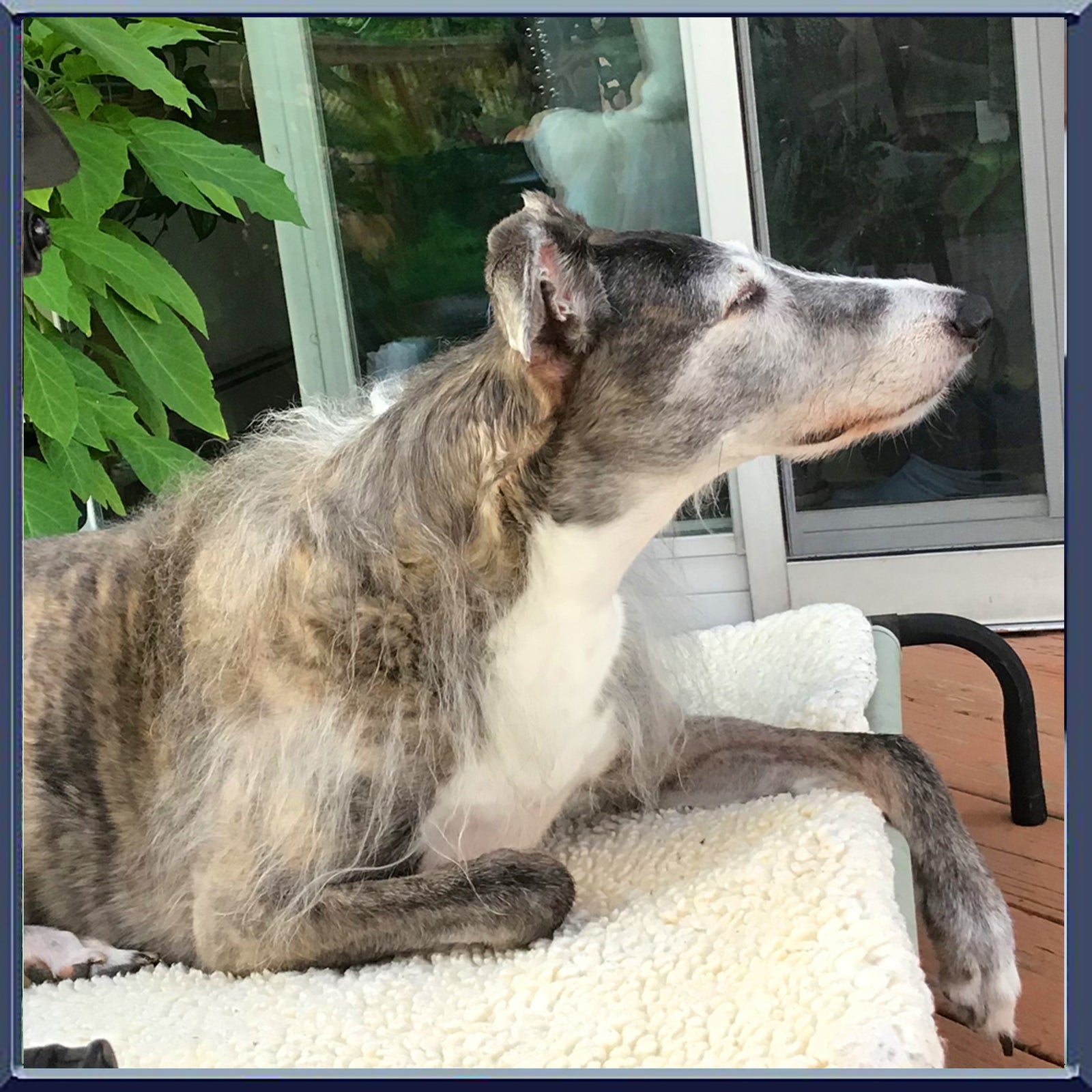 Tessie the Fuzzzz is very picky