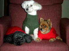 I'm so glad I found you!