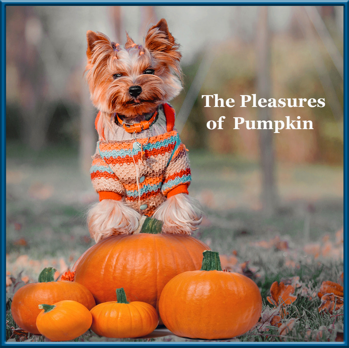 The Pleasures of Pumpkin