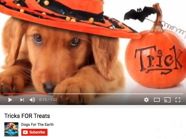 "Trick or Treats" Don't Forget the Dogs!