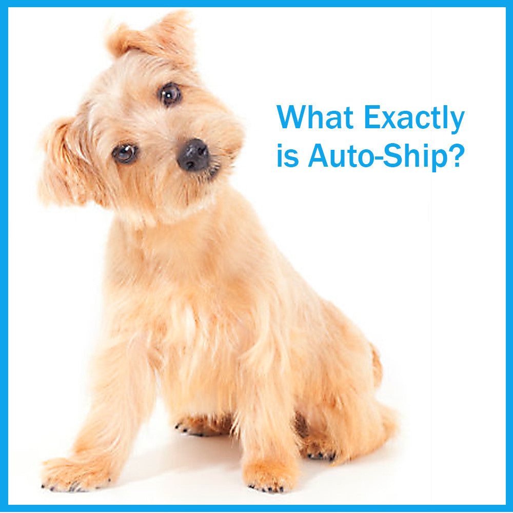 Auto-Ship Savings and Convenience with Dogs For The Earth
