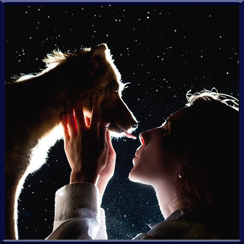 Feeding Your Family Is Our Passion.