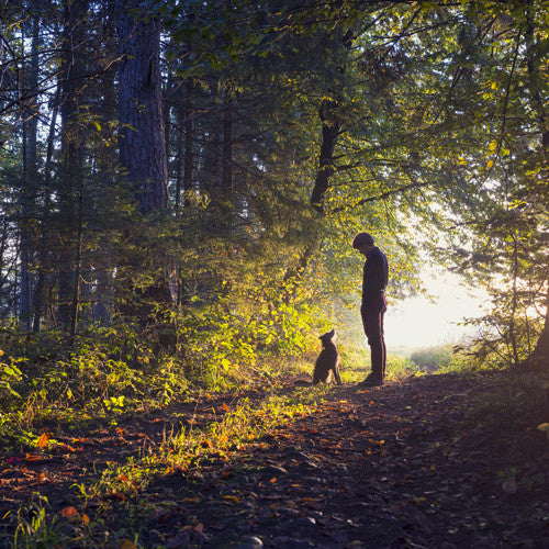 Trees for the Future