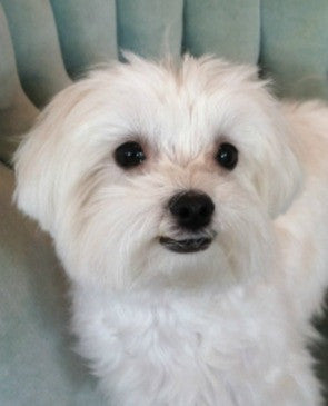 Feeding her the very best is important