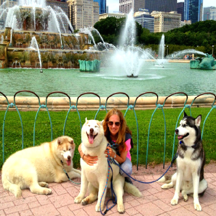 The Fabulous Cody, Cooper & Bailey B