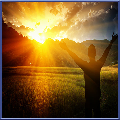 Waking Up From The Slumber Of The Industrial Food Age