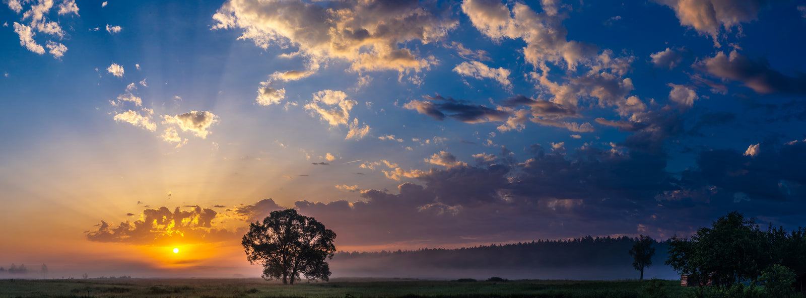 An image of the sun setting over a beautiful sky with trees in the horizon.
