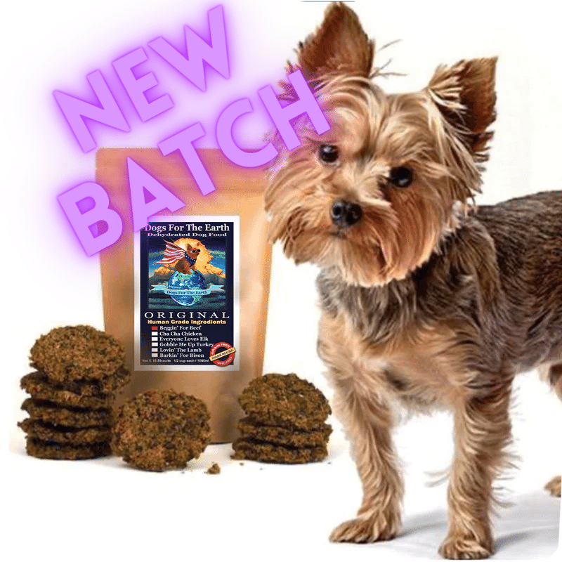 NEW BATCH!!  Beggin&#39; For BEEF Organic Dehydrated Dog Food