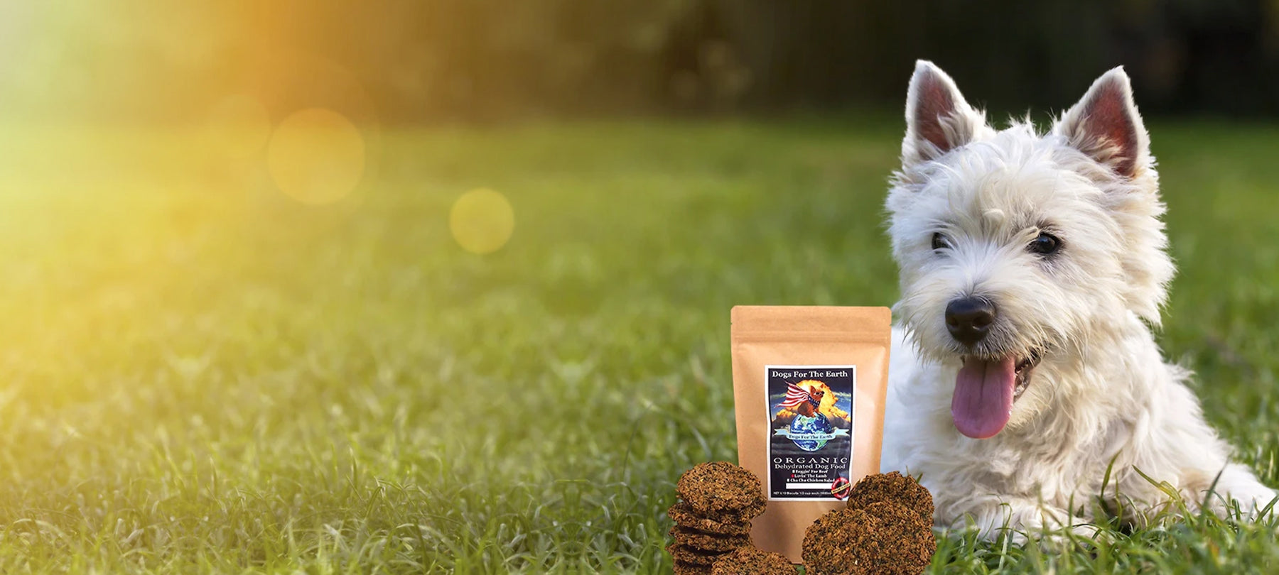 A dog sitting in a field with dog food in front of it.