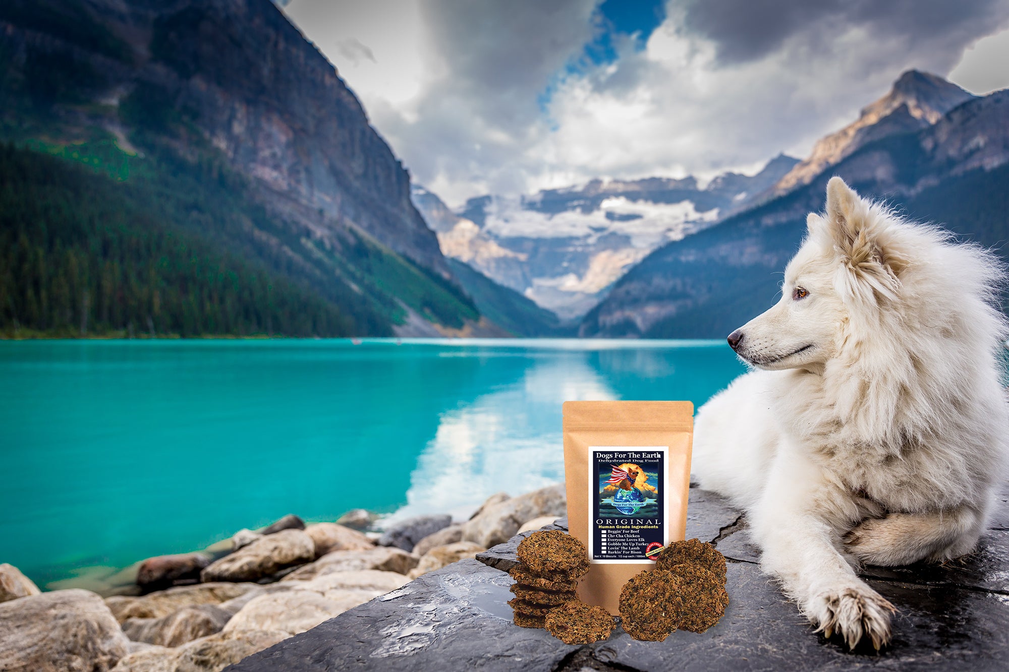 A dog sitting on a mountain beside a bag of Dogs For The Earth food